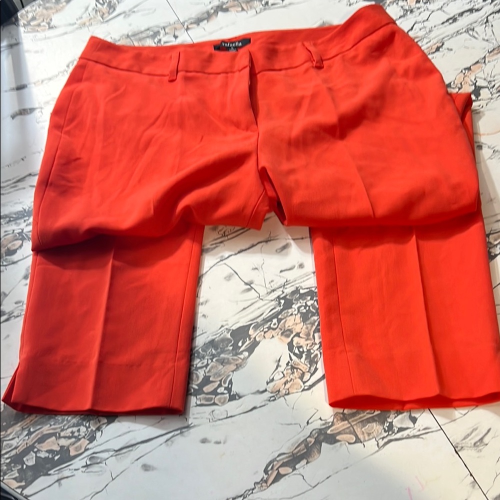 Talbots Bright Orange Pants - Picture 1 of 2